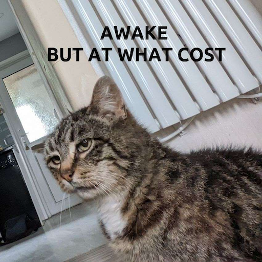 Awake But At What Cost Discord sticker