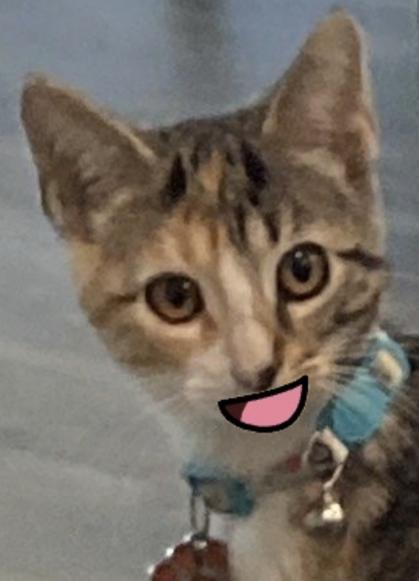 cleocursedsmile_donotsteal Discord sticker