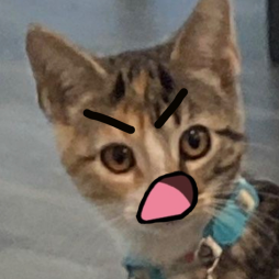 cleoangy_donotsteal Discord sticker
