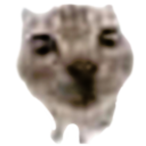 meowcatmeowmeowmeowmeow Discord sticker