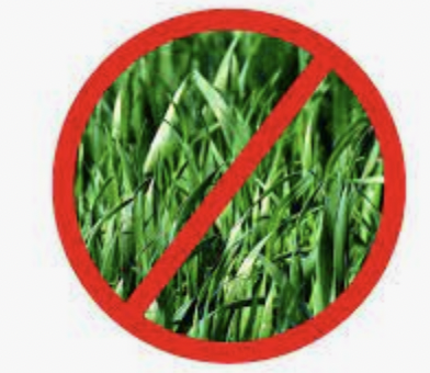 no grass?? Discord sticker