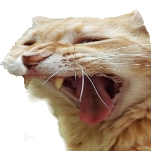 butterscotch scream Discord sticker