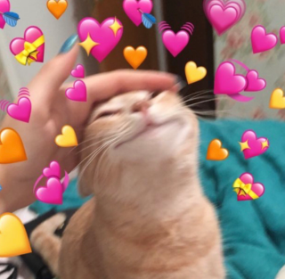 Wholesome Cat Discord sticker