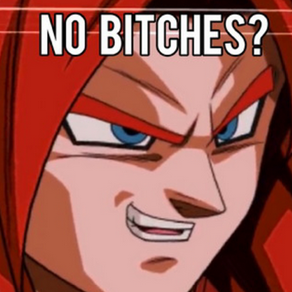 No Bitches?