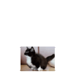 hop Discord sticker