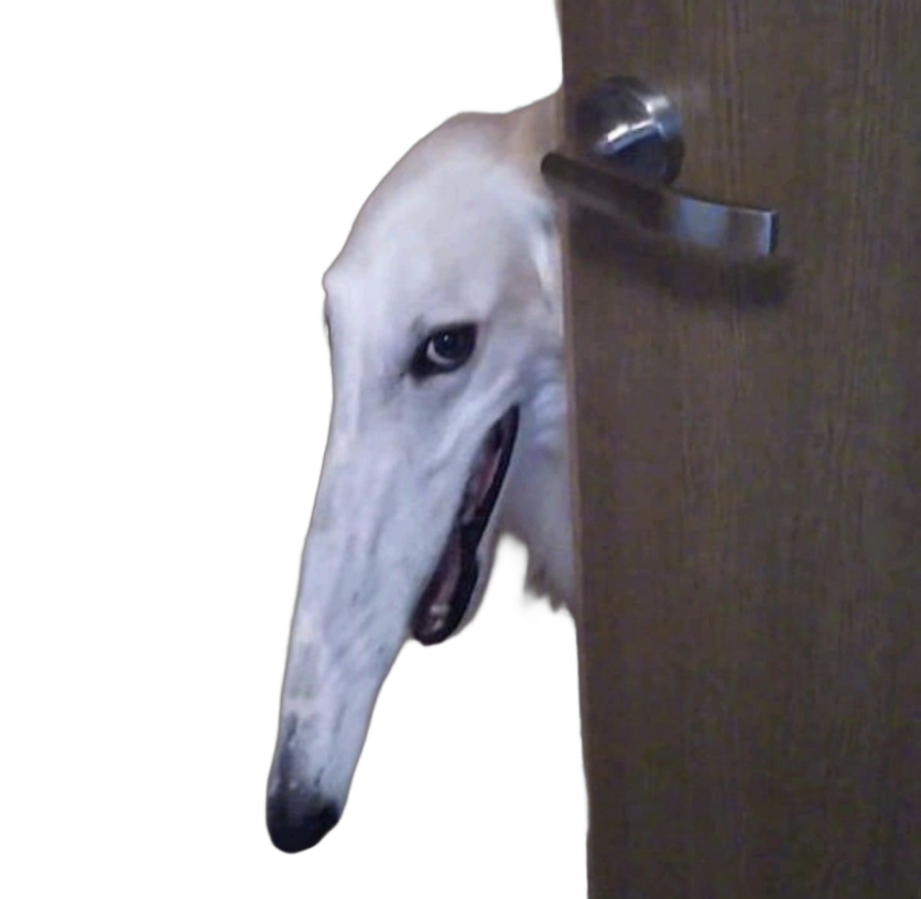 Always Watching Discord sticker