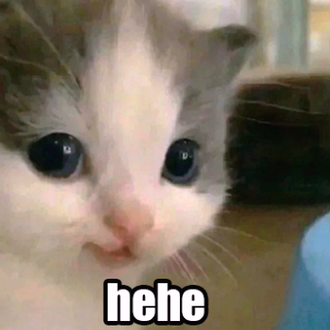 hehe kitty