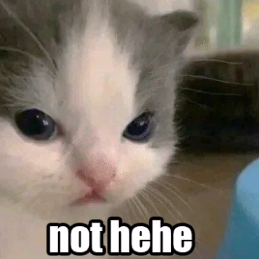 not hehe kitty