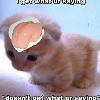 stupid idiot Discord sticker