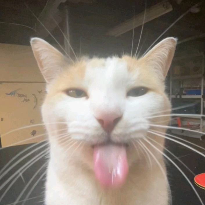 Bleh Discord sticker