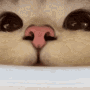 sniff sniff at you Discord sticker