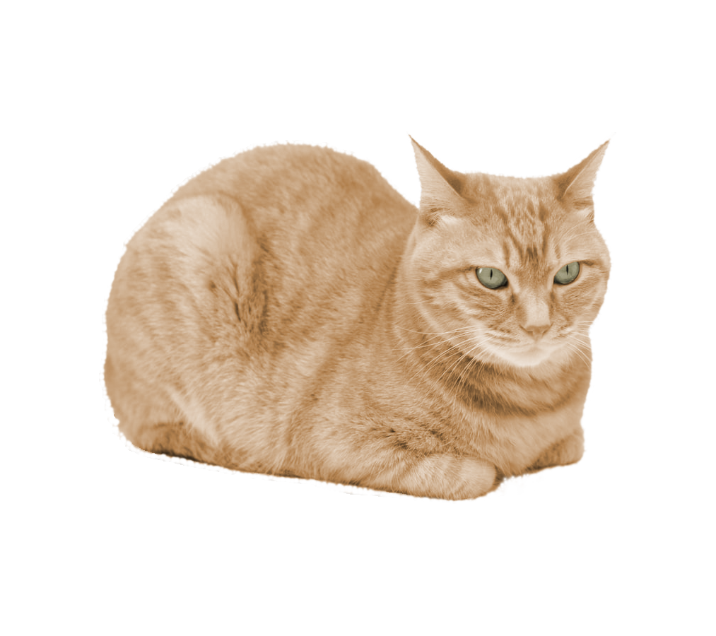 loaf_of_judgement Discord sticker