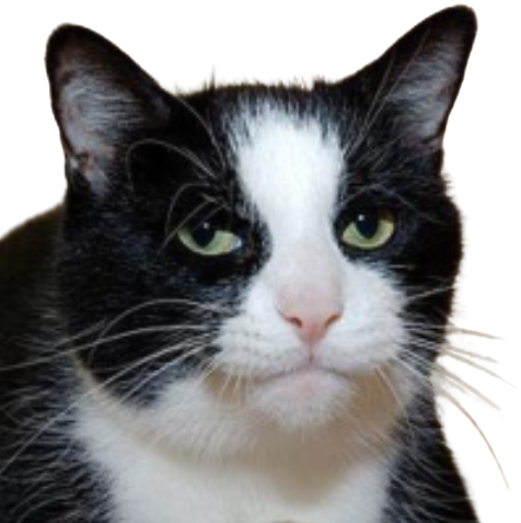 NotImpressed Discord sticker