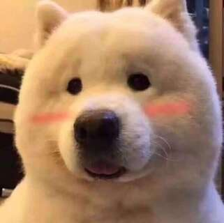 Cuti cuti Discord sticker