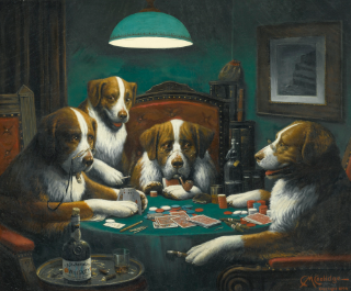 Dogs gamblin