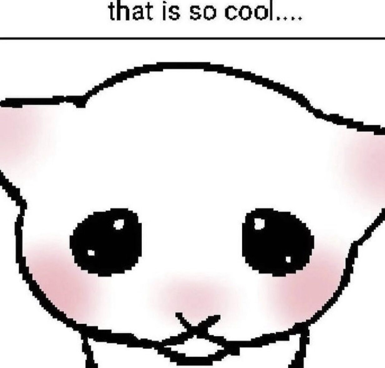 that's so cool(discord.gg/pol)