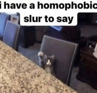 my opinion (discord.gg/pol)