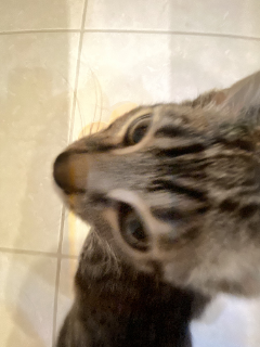 i know where you live