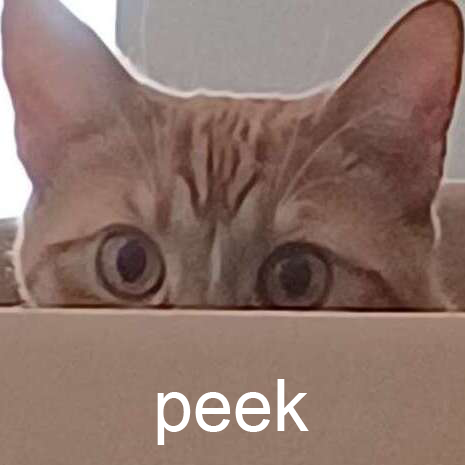 kmm peek flerkin Discord sticker