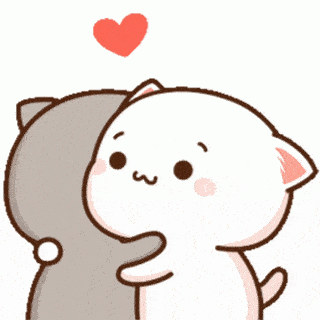 Cat hug Discord sticker