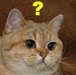 witnessing (discord.gg/pol)