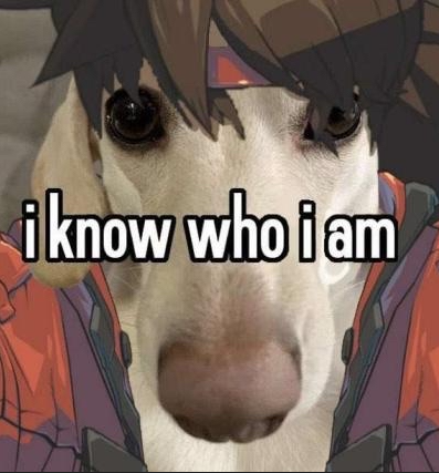 1040419098217156678.png