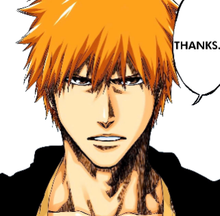 Thanks Ichigo 