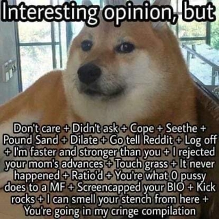 doge ratio Discord sticker