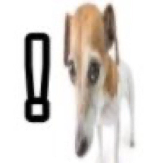 dog! Discord sticker