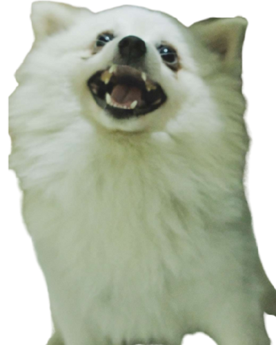 doggo bark Discord sticker
