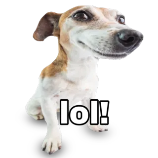 lol!