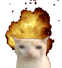 Cat EXPLODE Discord sticker