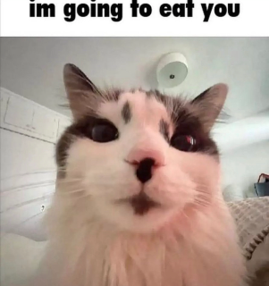 im going to eat you