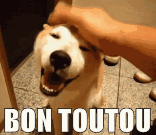 wouf wouf mon toutou