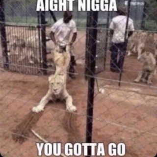 get out (discord.gg/pol)