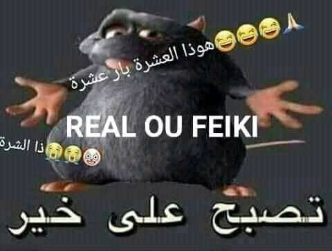 Feiki Discord sticker