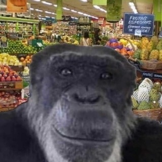 at Greens (discord.gg/pol)