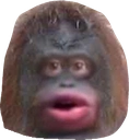 monke Discord sticker
