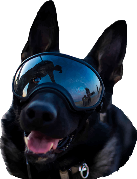 DogoSmile Discord sticker