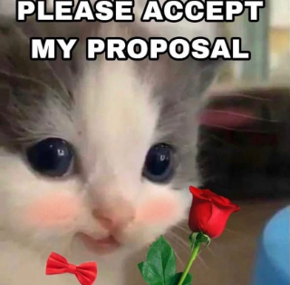 proposal