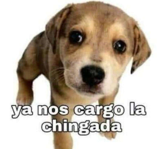 ya nos cargo la chingada Discord sticker