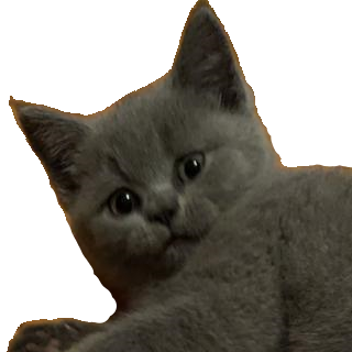 RD_Naluwtf Discord sticker
