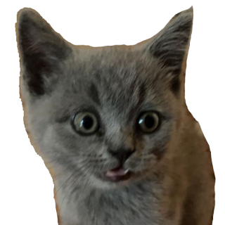 RD_Naluscream Discord sticker