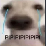 pipipi Discord sticker