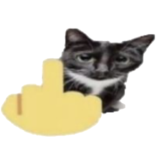 CatMiddleFinger Discord sticker