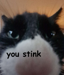 you stink Discord sticker