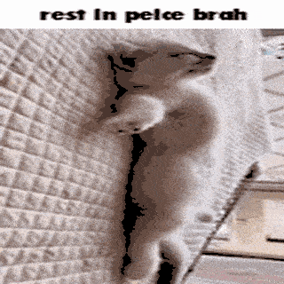 rest in peice brah