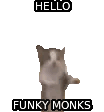 Hello Funky Monks