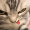 Tenen likken Discord sticker
