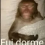 fui dorme Discord sticker